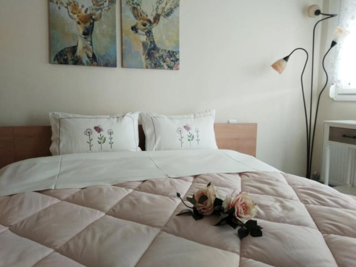 Apartamento Brilliant House Volos Exterior foto